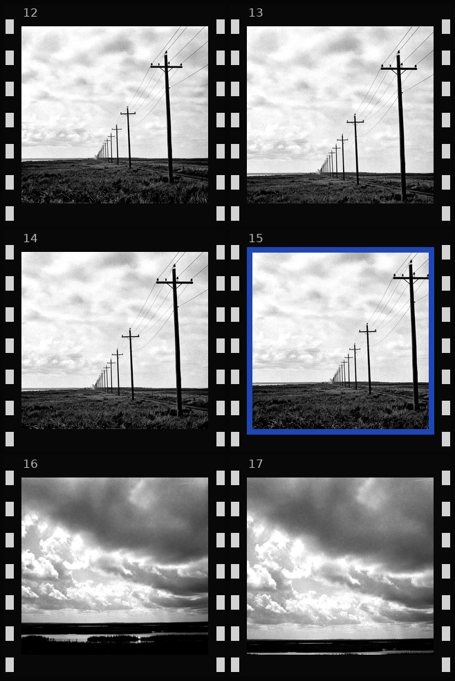 Contact sheet of utility poles and coastal sky