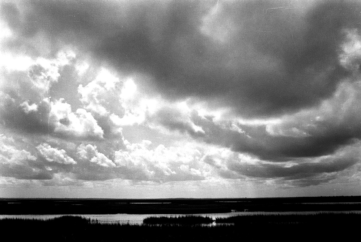 Black-and-white coastal sky